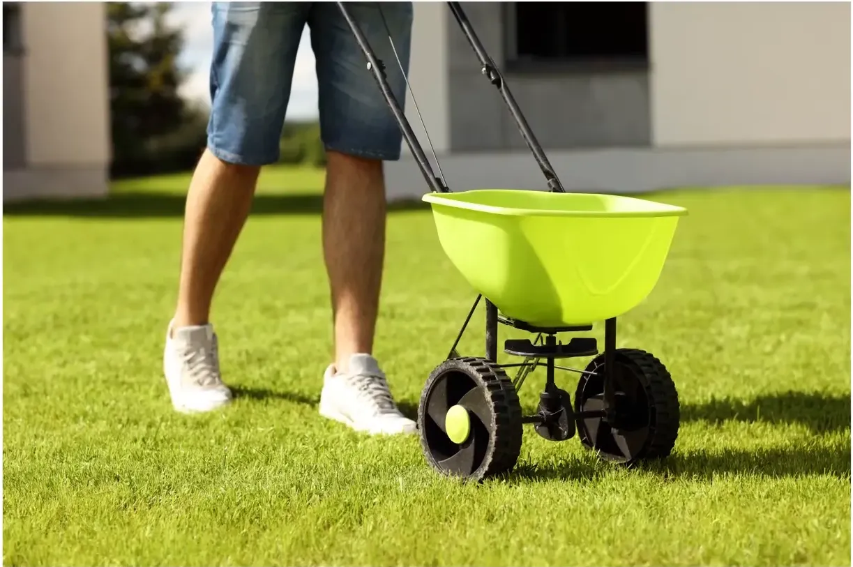 Summer brings extreme heat and drying winds in clarksville lawn care