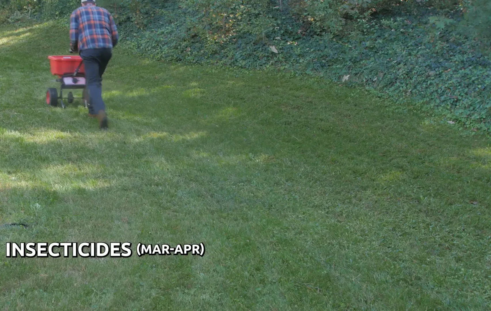 Applying insecticides for grub prevention