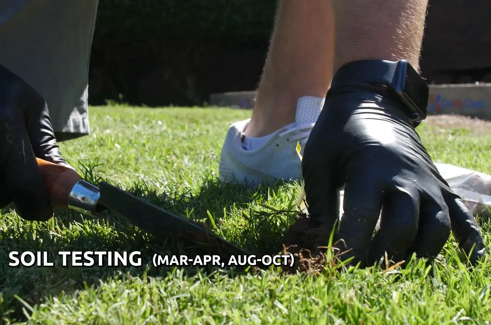 Testing soil pH levels