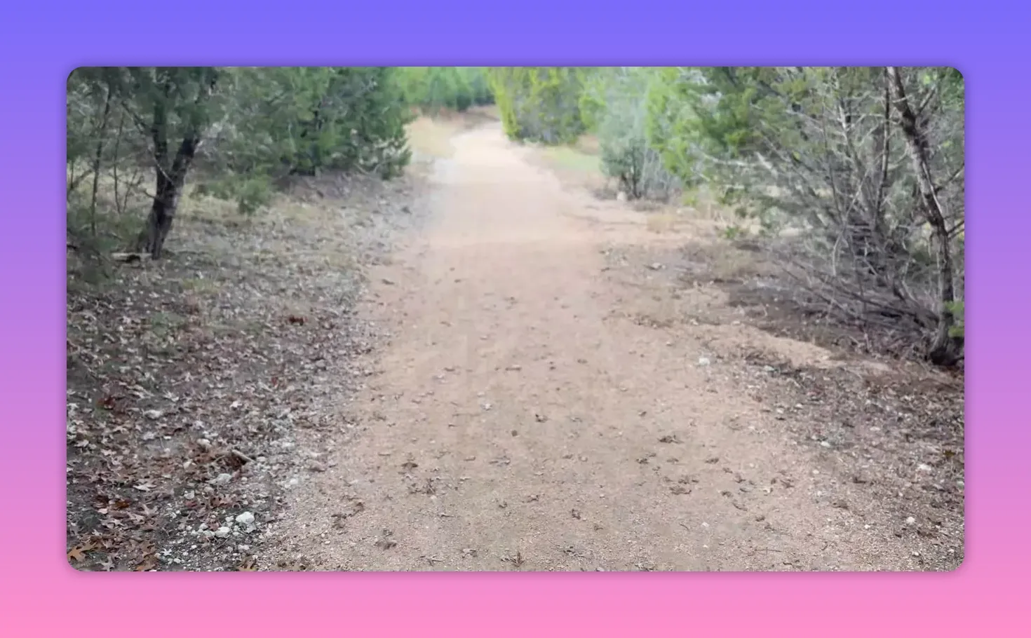 empty dirt trail through a wooded area, clear path for walking and reflection