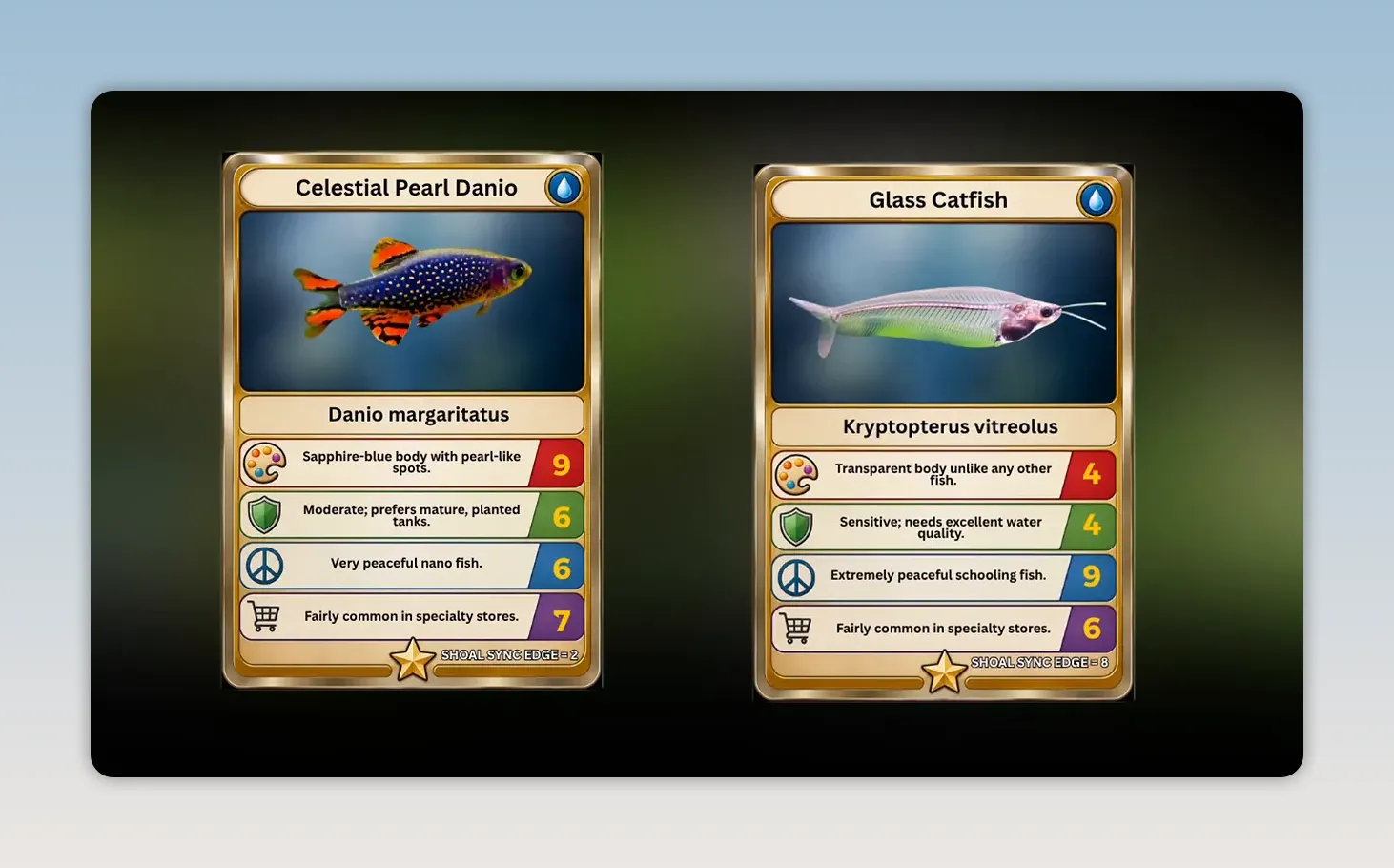 Comparison cards for Celestial Pearl Danio and Glass Catfish with coloured scoring rows
