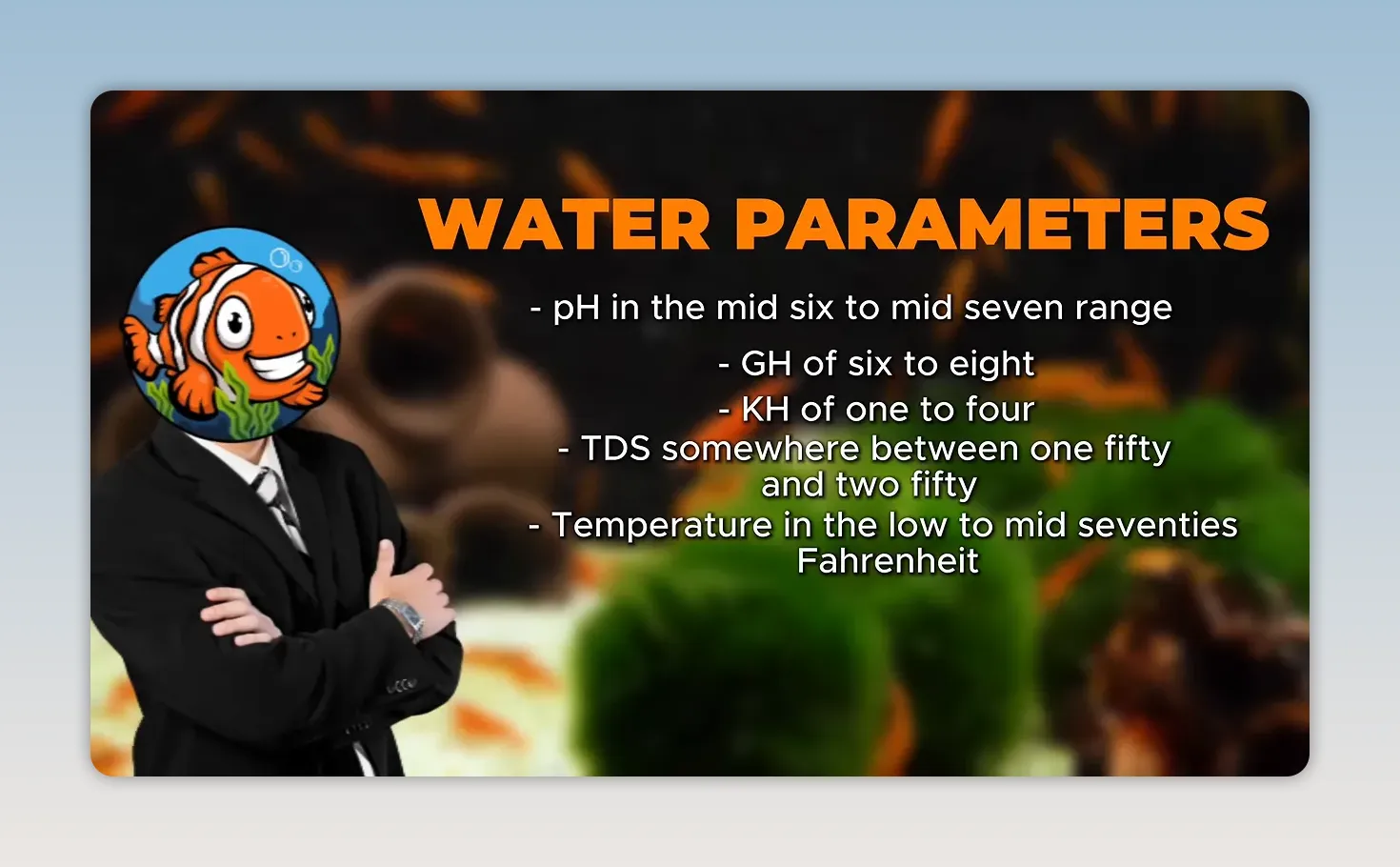 Water parameters slide listing pH, GH, KH, TDS and temperature targets