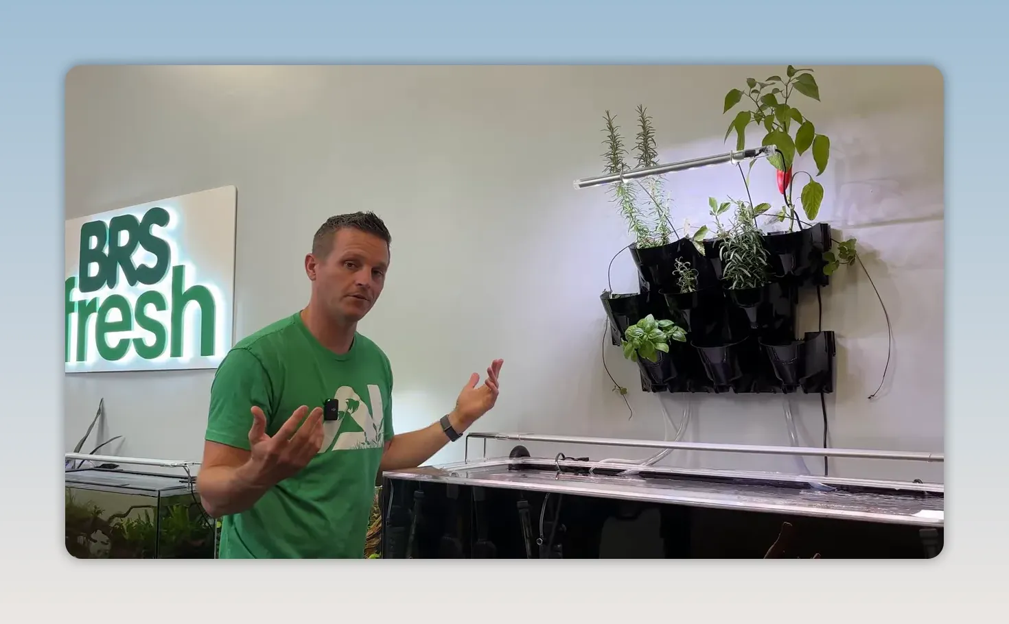 Illustration showing aquarium water circulating through rows of plants