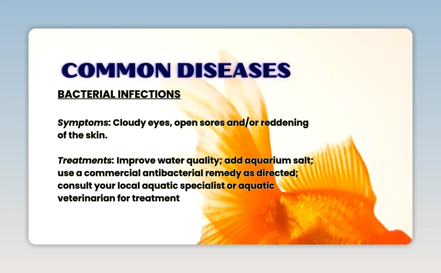 Common diseases slide listing bacterial infection symptoms and treatment guidance
