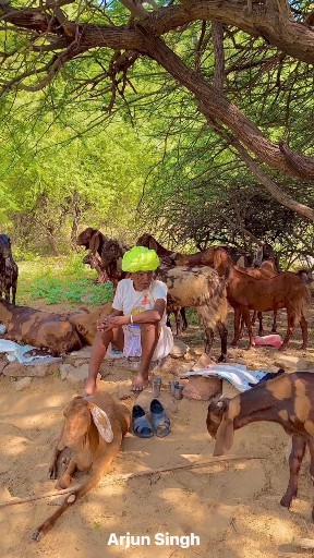 Rajasthan life #rajesthan