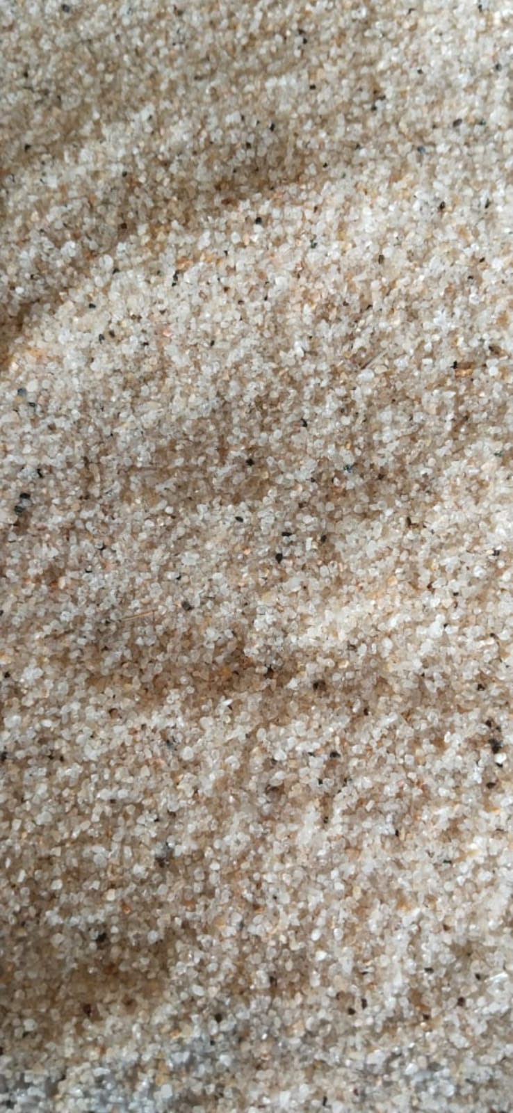 12-24 Mesh