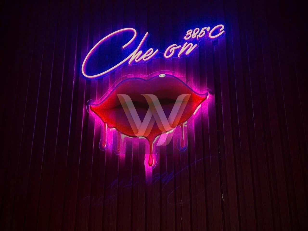 호치민 7군 불건마 체온스파 | CHEON SPA Massage - INSIDE VIBE 1 (preview)