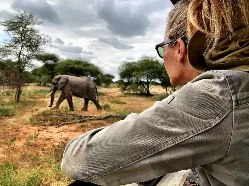 Woman looking at elephant walking on grass in forest against sky.