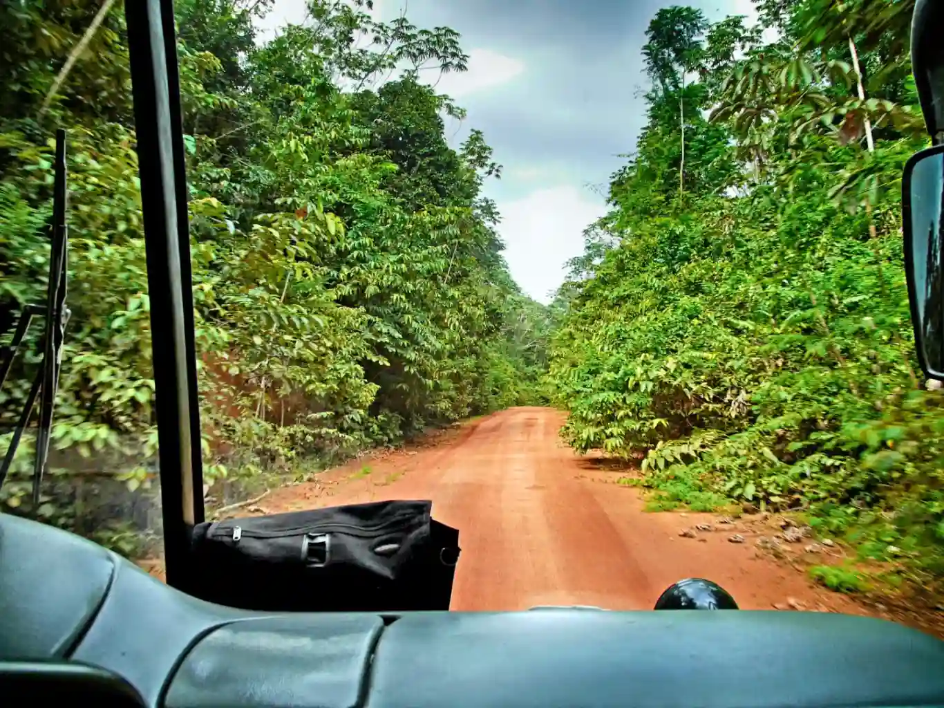 Road amidst trees seen through car windshield