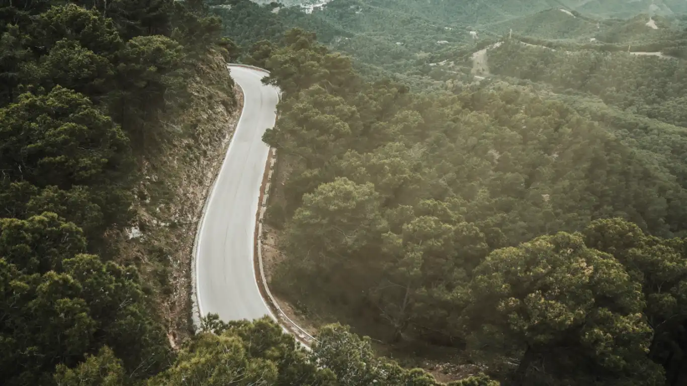 Elevated view of road and forest during sunny day