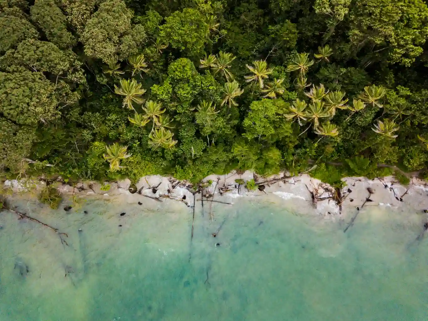 Drone view of a pristine tropical coastline in Costa Rica, featuring lush green jungle and clear turquoise waters.