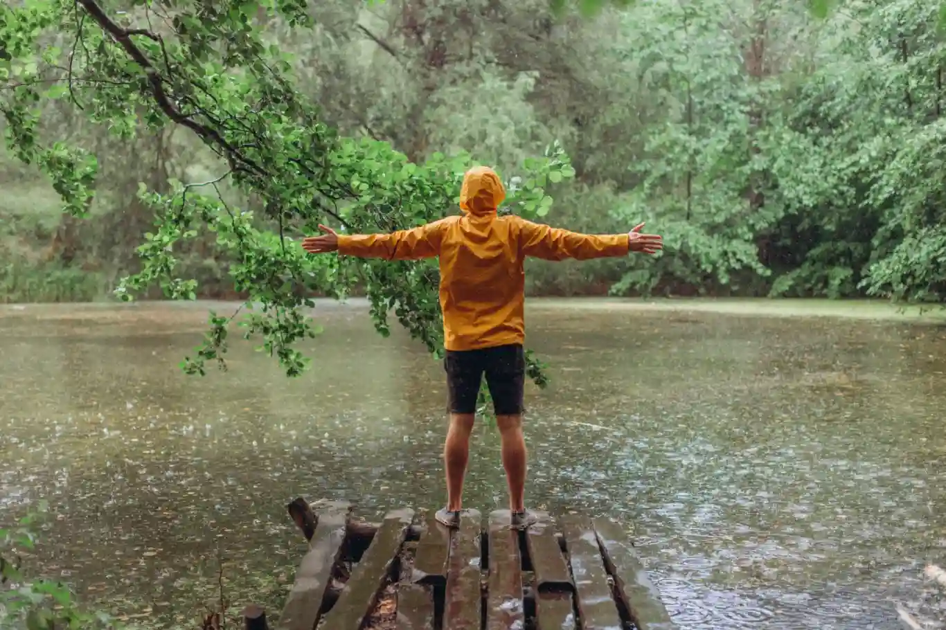 Person in a yellow raincoat standing with arms spread on a wooden pier in a rainy forest