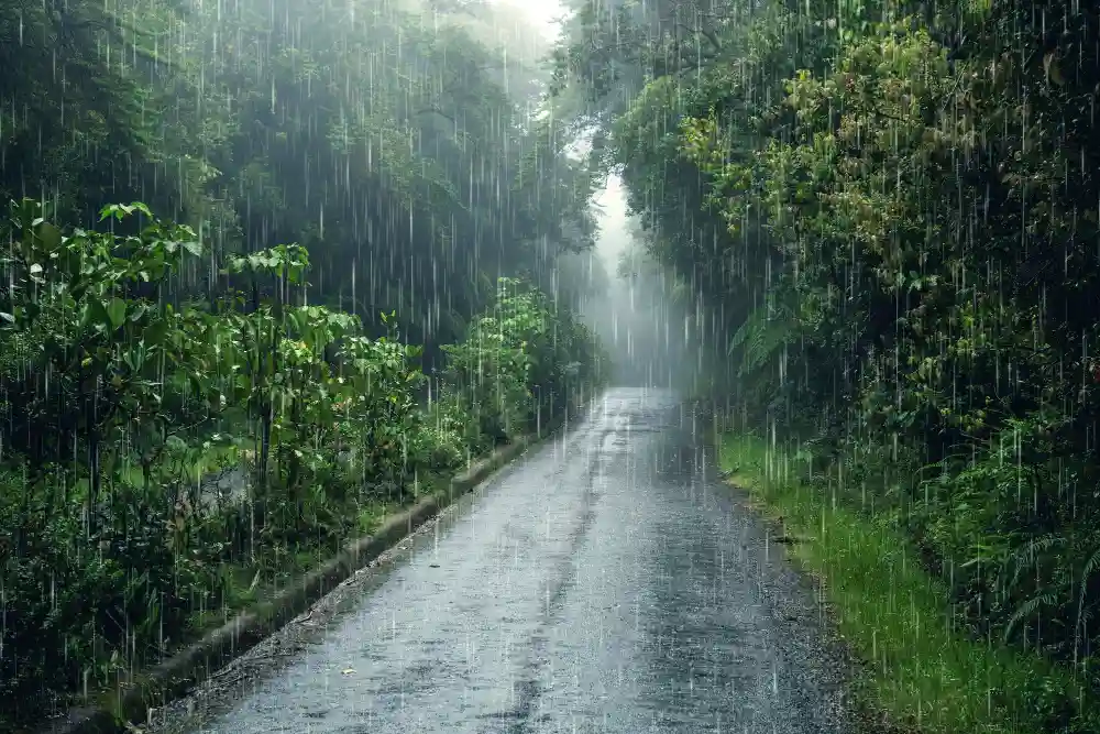 A heavy monsoon rain pours down on a verdant forest-lined road in Thailand.