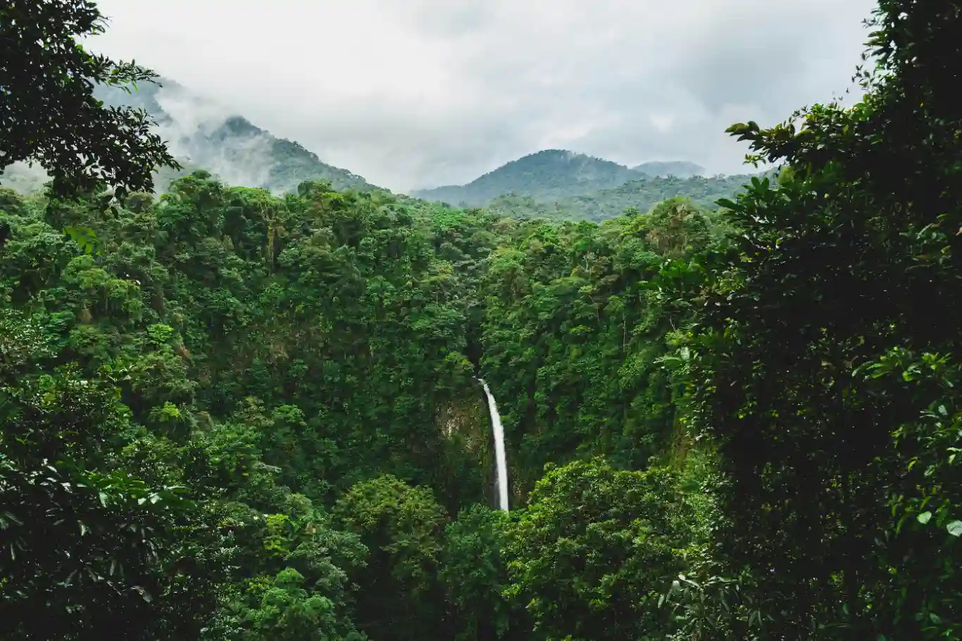 Waterfall in a lush, green Costa Rican rainforest