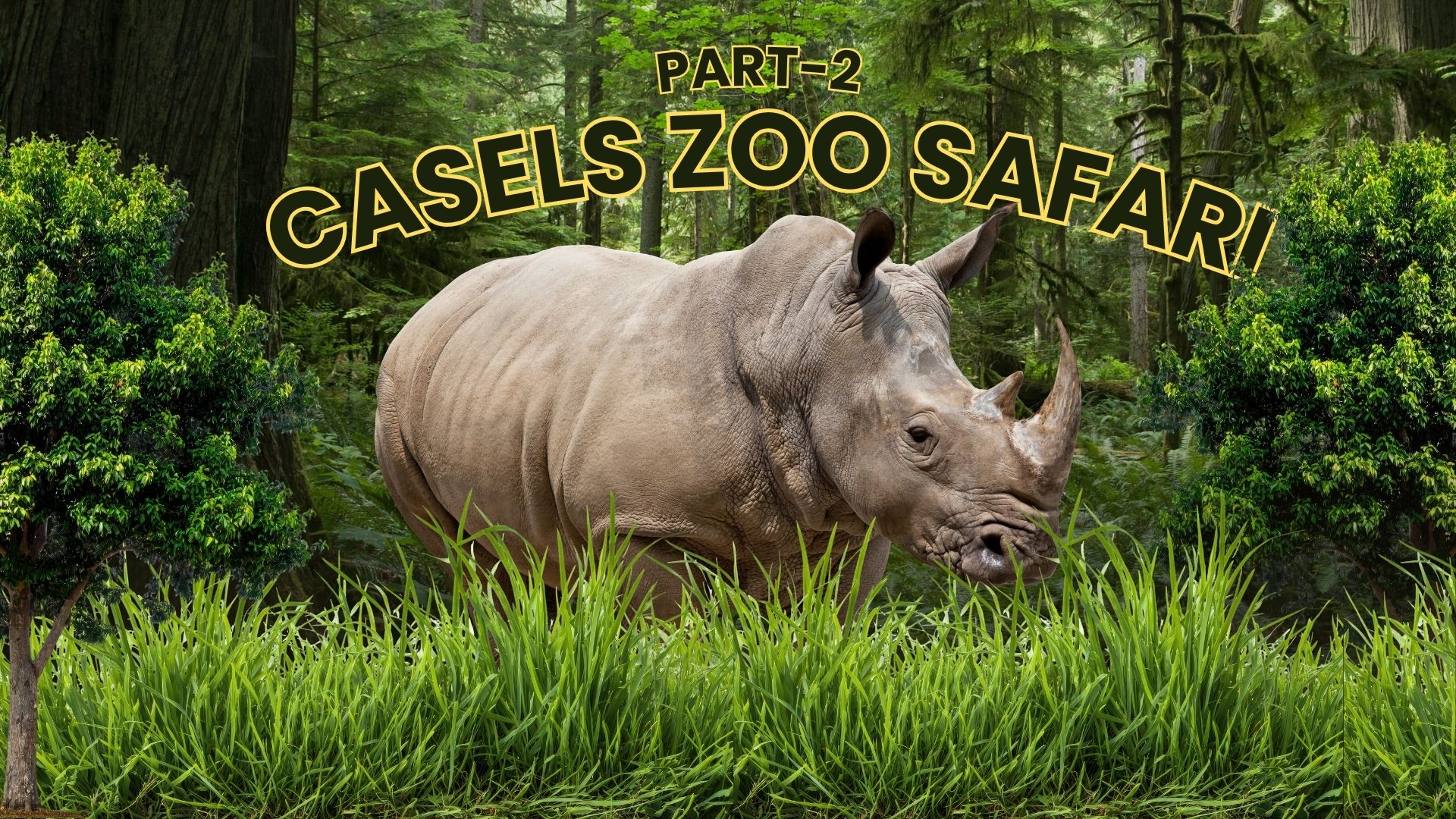 Casela Safari Adventure