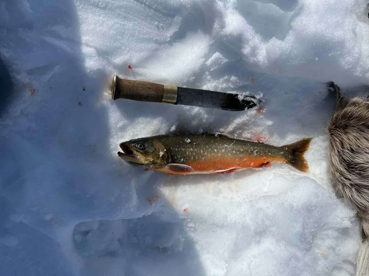 Ice fishing in Kautokeino on the Finnmarksvidda wilderness expanse! - bilde 1