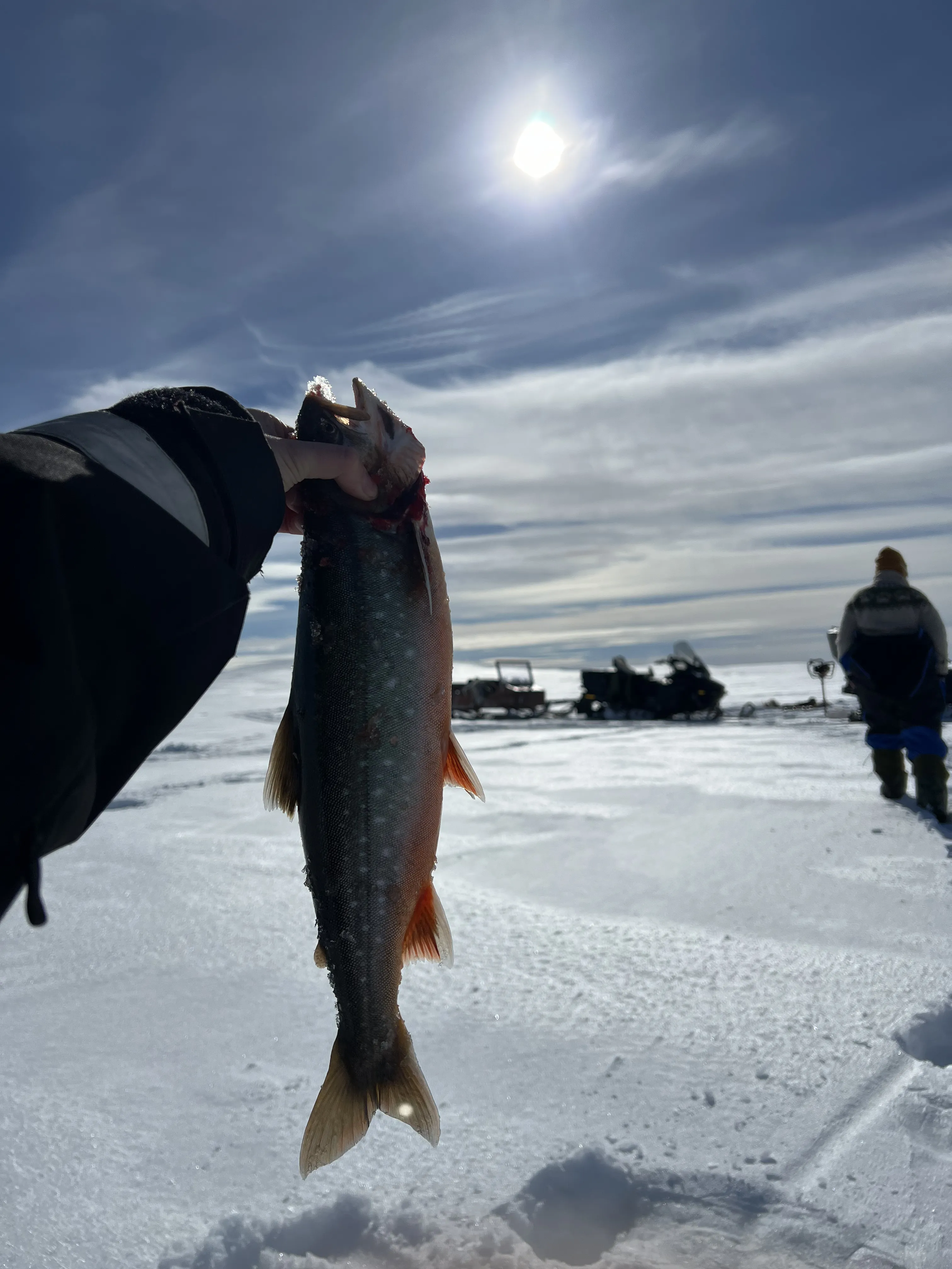 Ice fishing in Kautokeino on the Finnmarksvidda wilderness expanse! - bilde 2