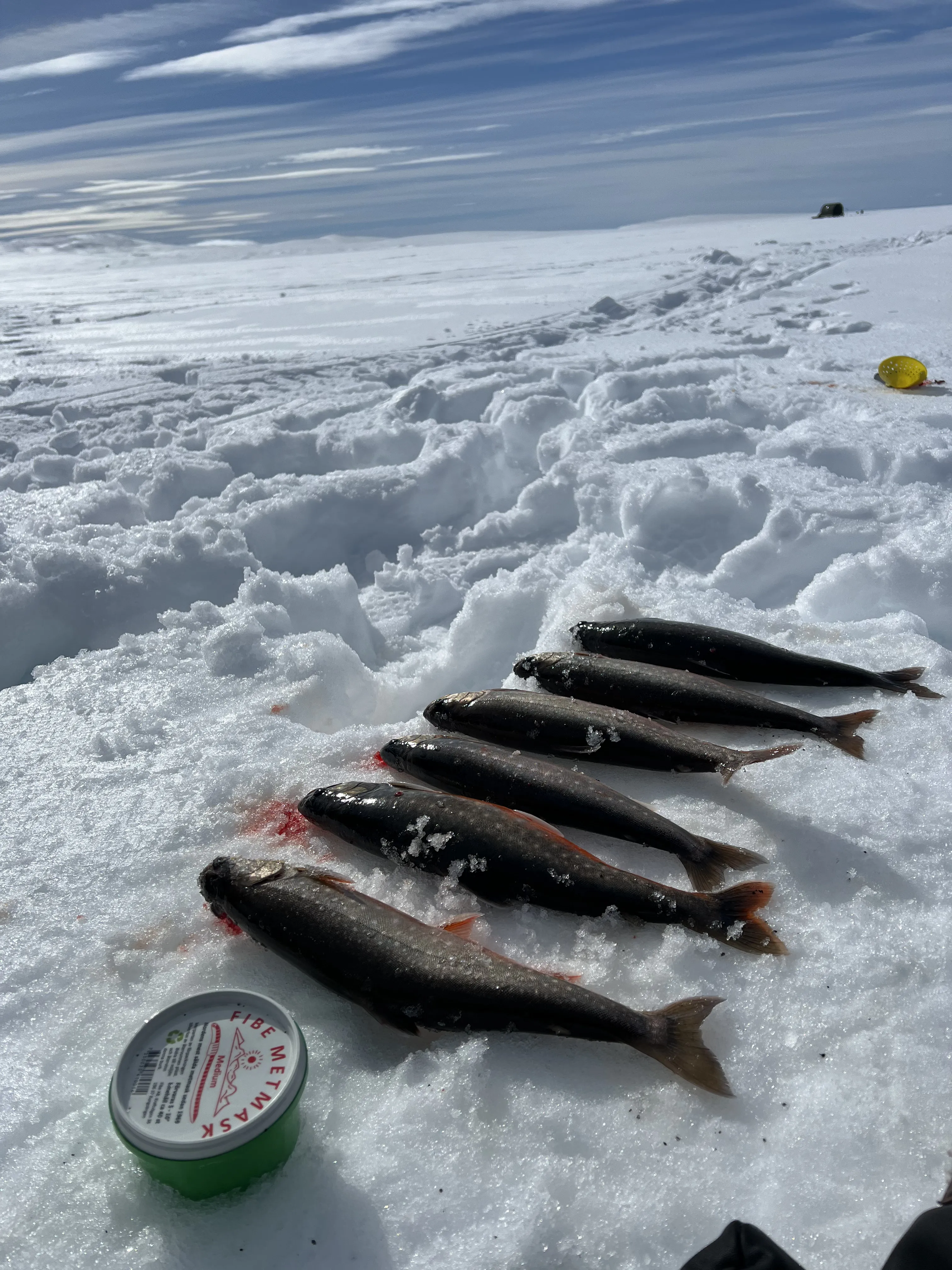 Ice fishing in Kautokeino on the Finnmarksvidda wilderness expanse! - bilde 5