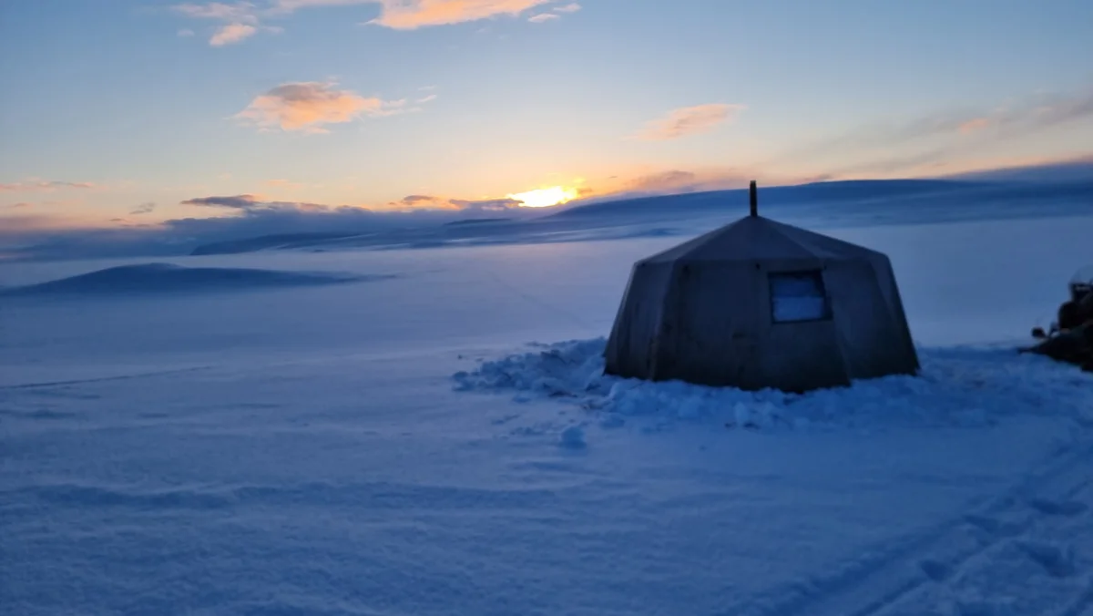 Ice fishing in Kautokeino on the Finnmarksvidda wilderness expanse! - bilde 4