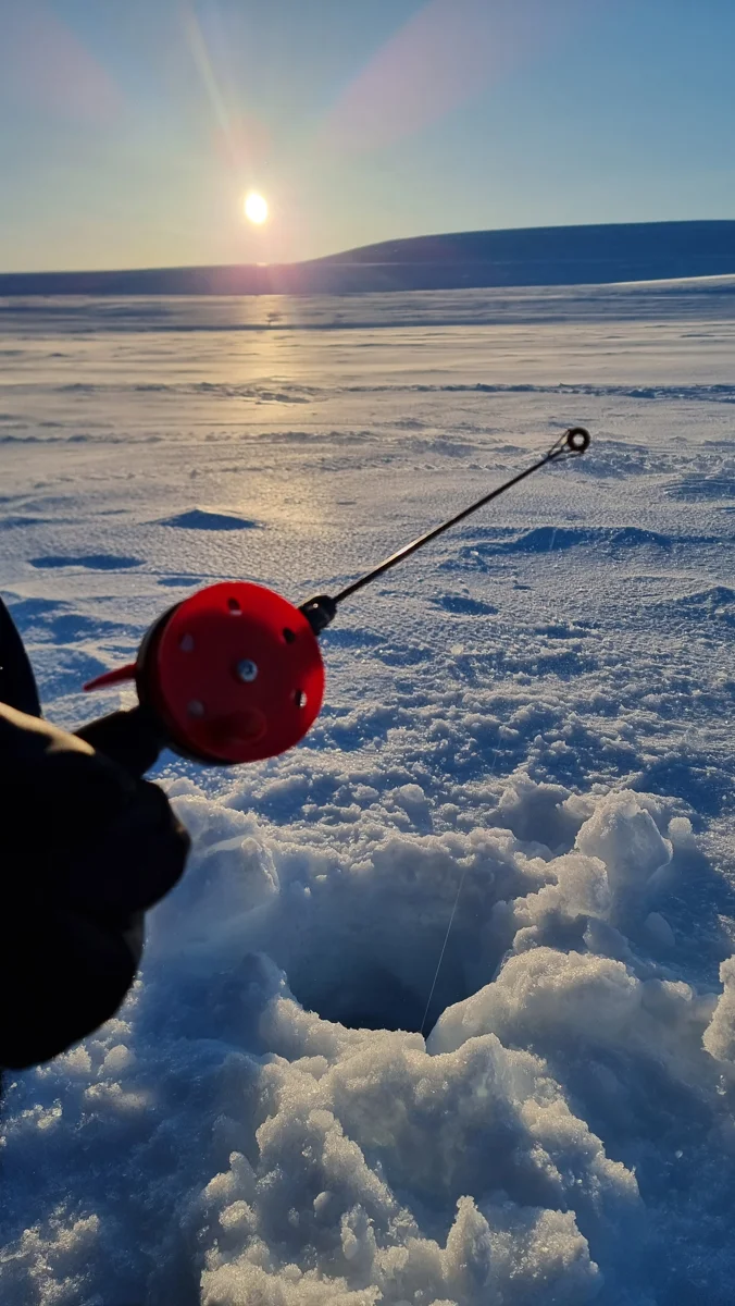 Ice fishing in Kautokeino on the Finnmarksvidda wilderness expanse! - bilde 6