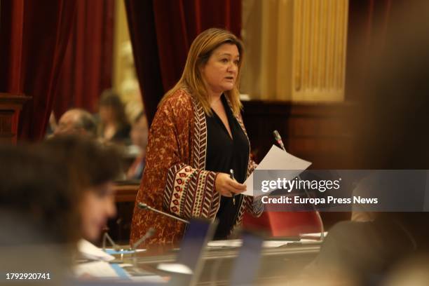 Mercedes Garrido i Rodríguez