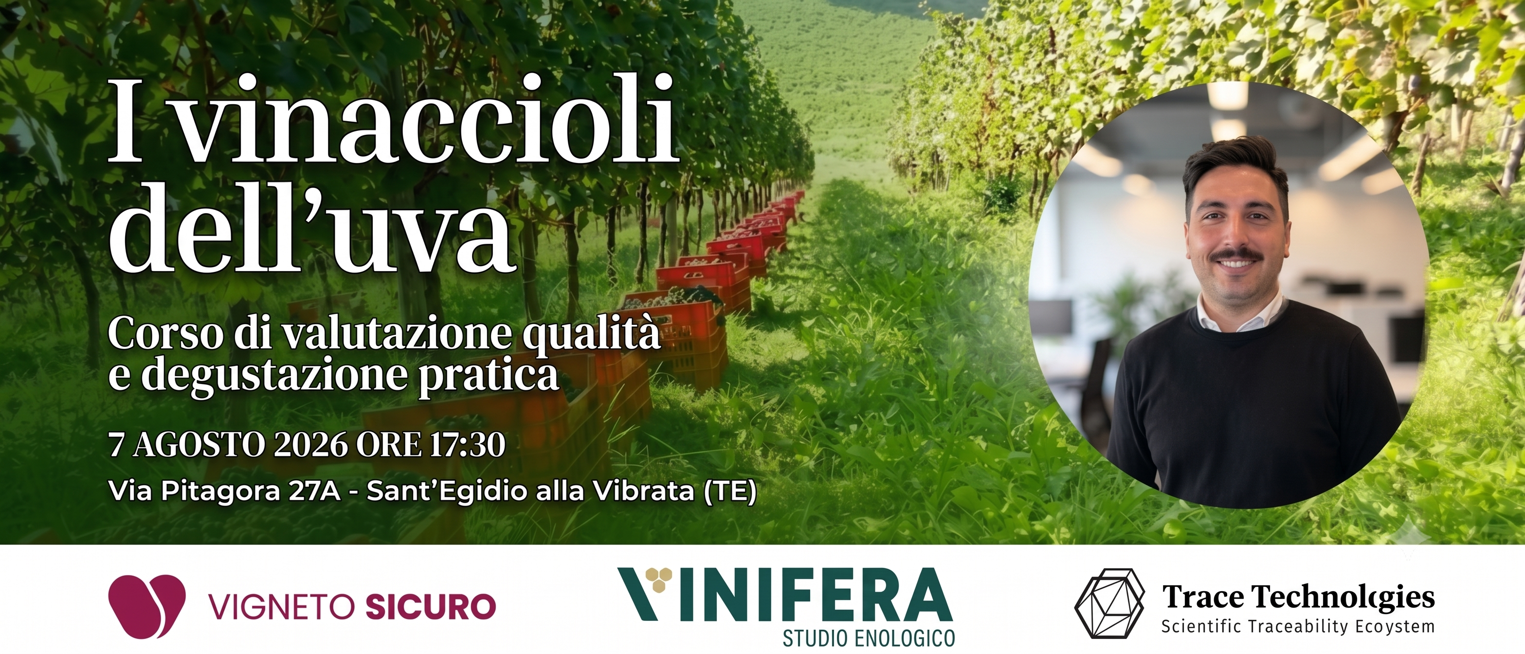 I vinaccioli dell’uva