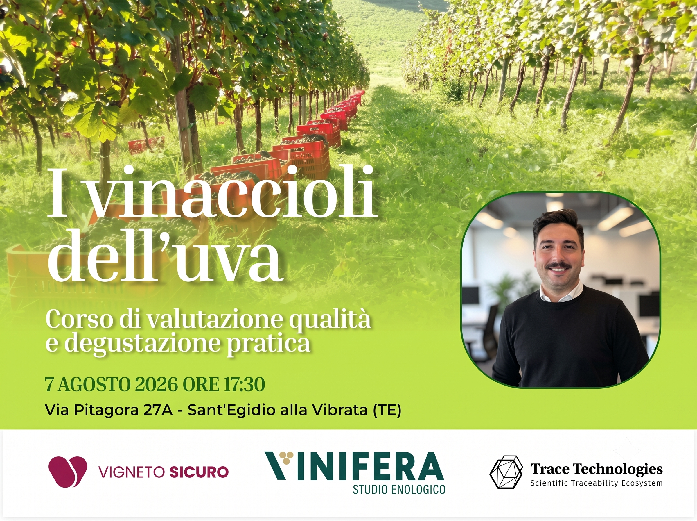 I vinaccioli dell’uva