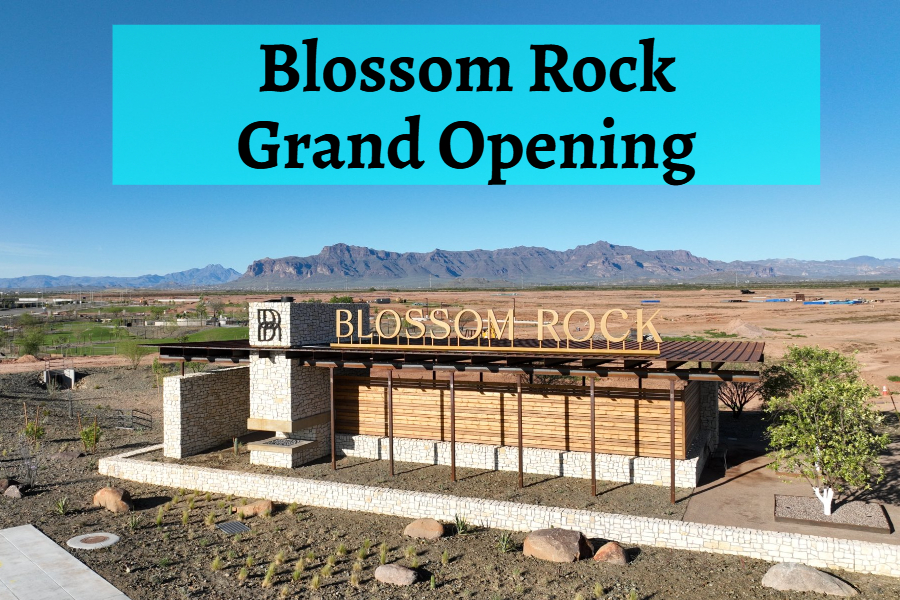 Blossom Rock: Your Dream Home Awaits in Apache Junction!
