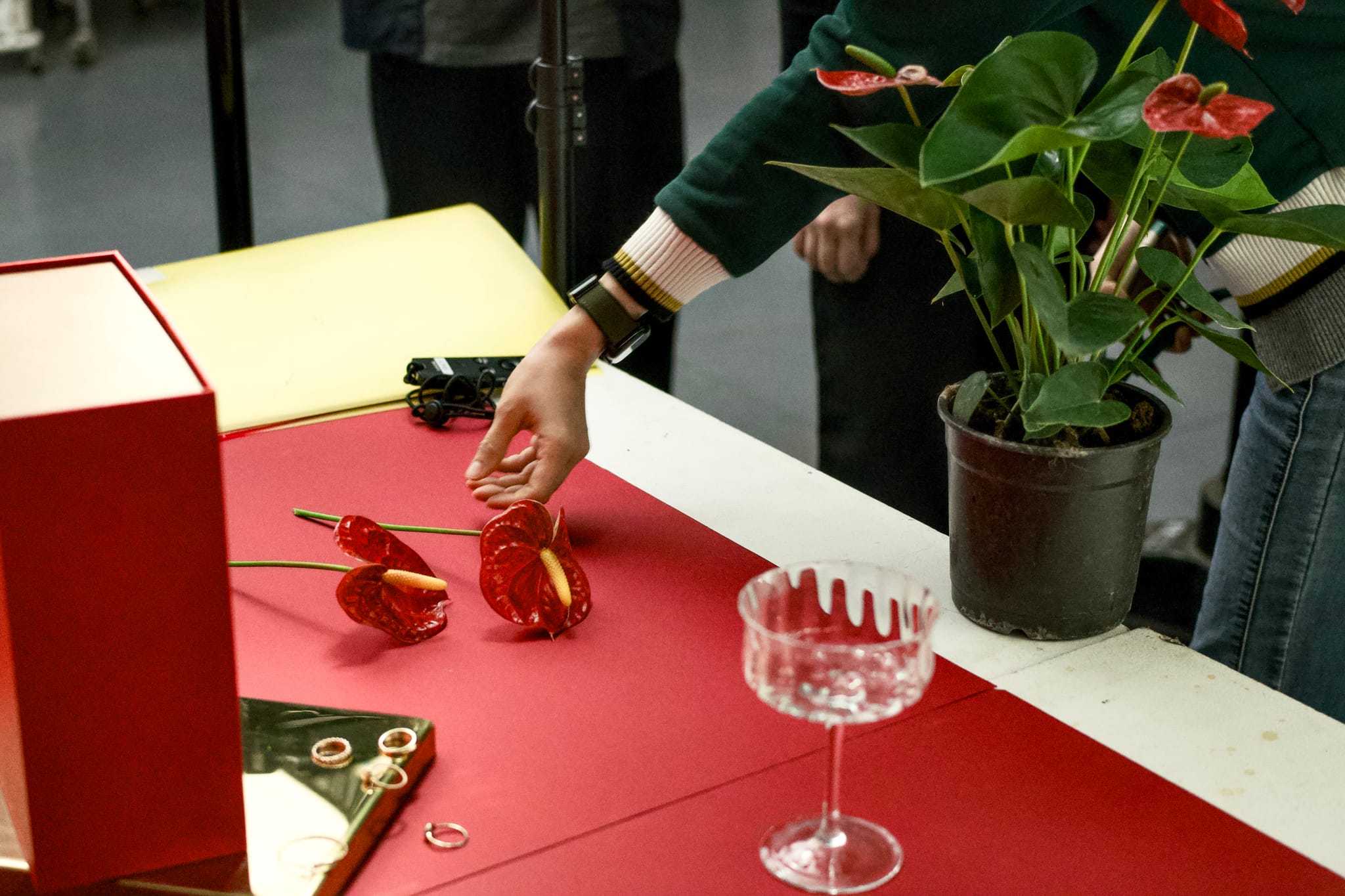 攝影師調整火鶴花與珠寶，為禮盒拍攝營造華麗場景。