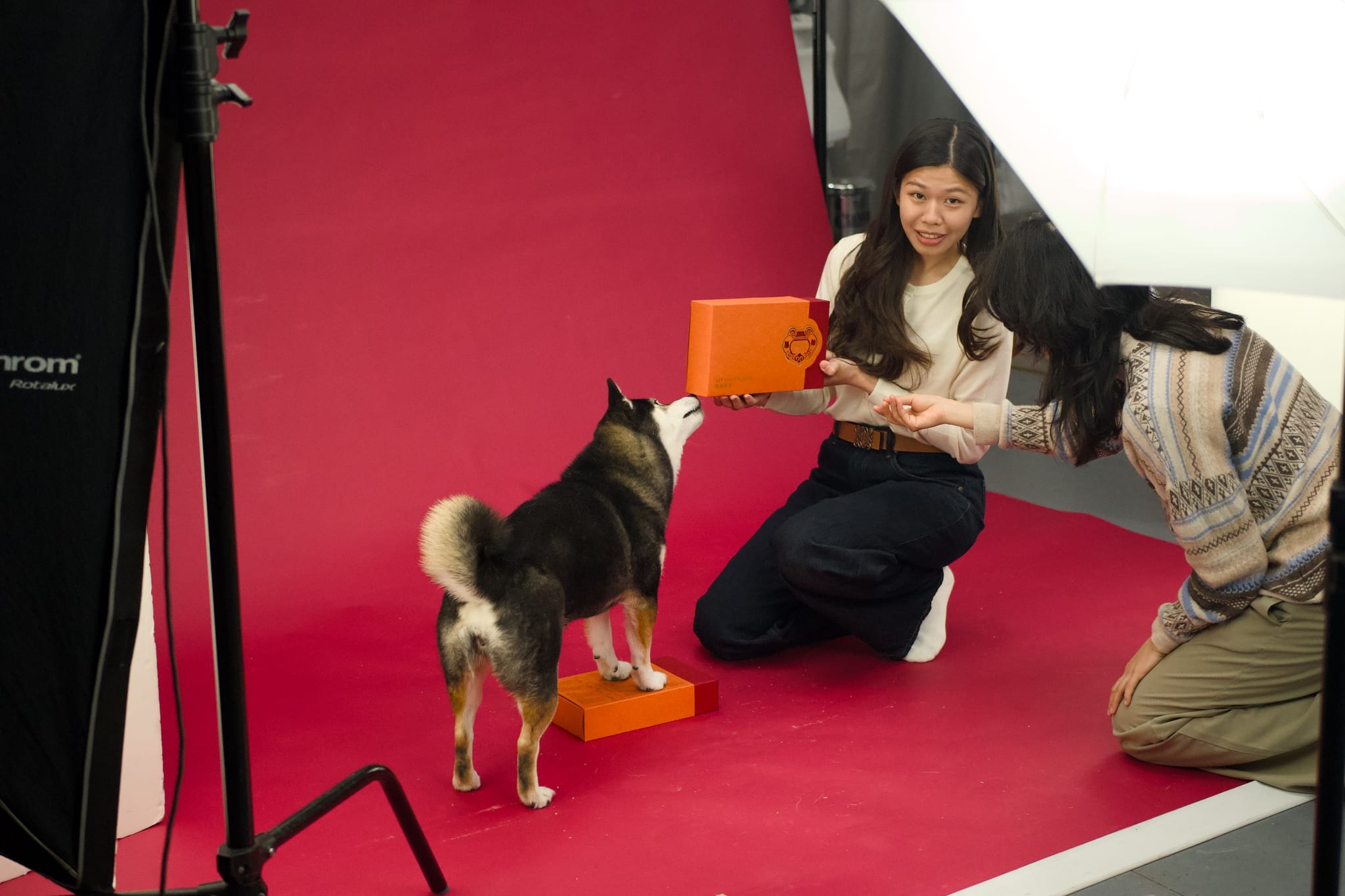 拍攝現場，工作人員細心引導毛孩，呈現新春限定禮盒的溫馨。