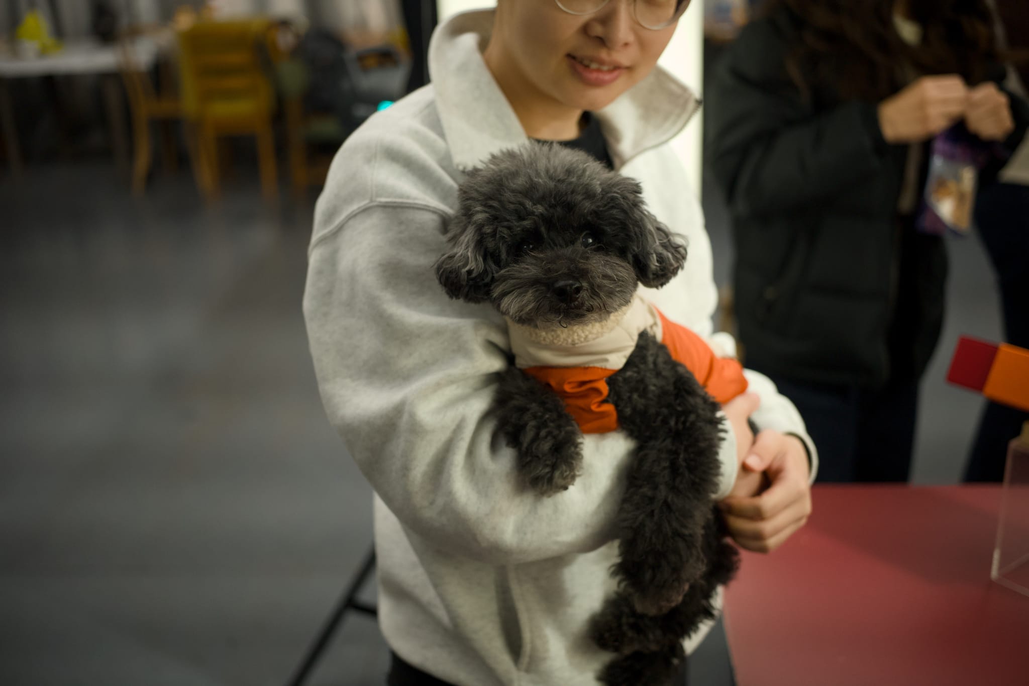 溫柔抱著毛孩，展現對寵物「萬億般寵愛」的日常關懷與細膩觀察。