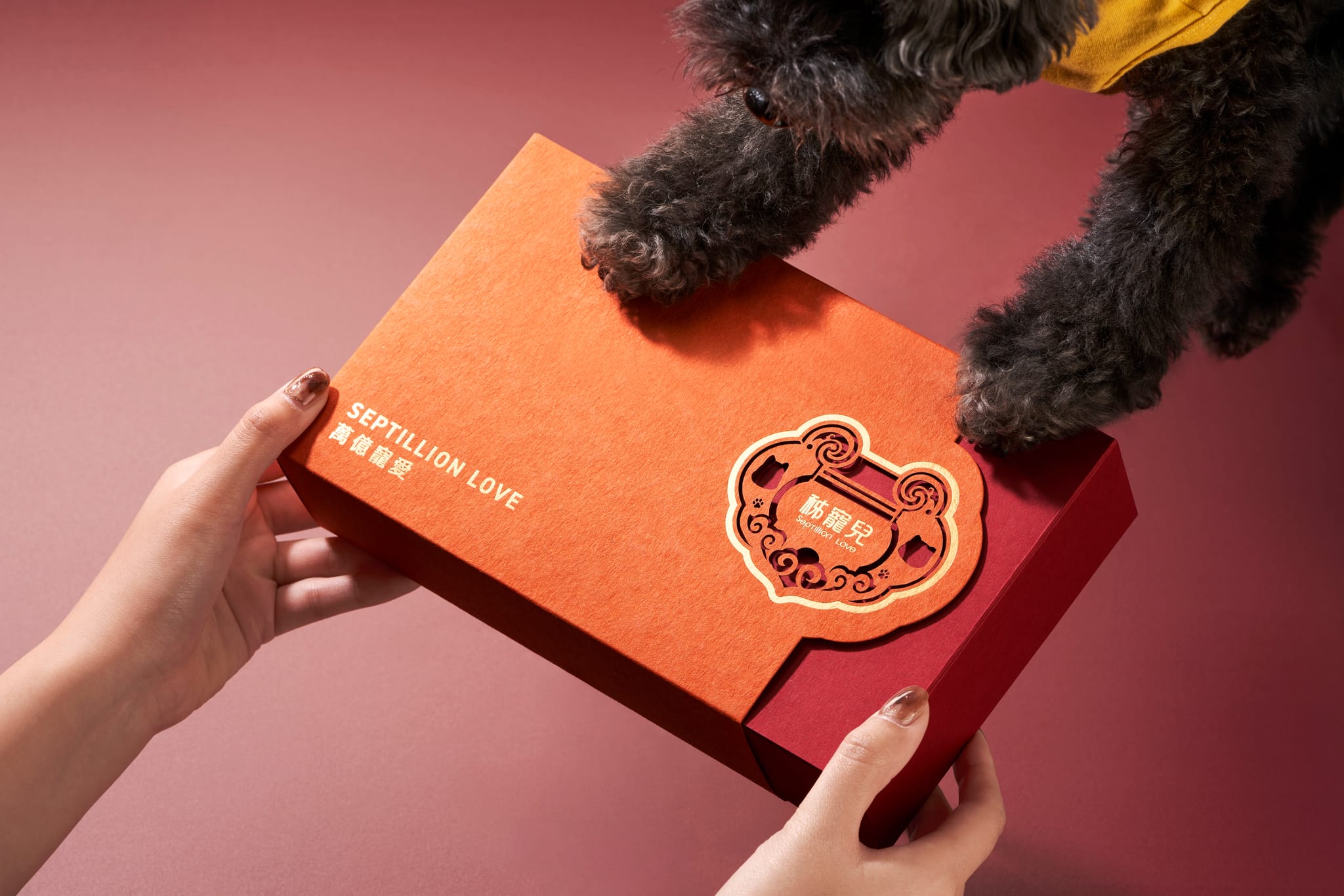 人手與毛孩爪子輕觸新春限定禮盒，承載平安鎖的萬億寵愛祝福。