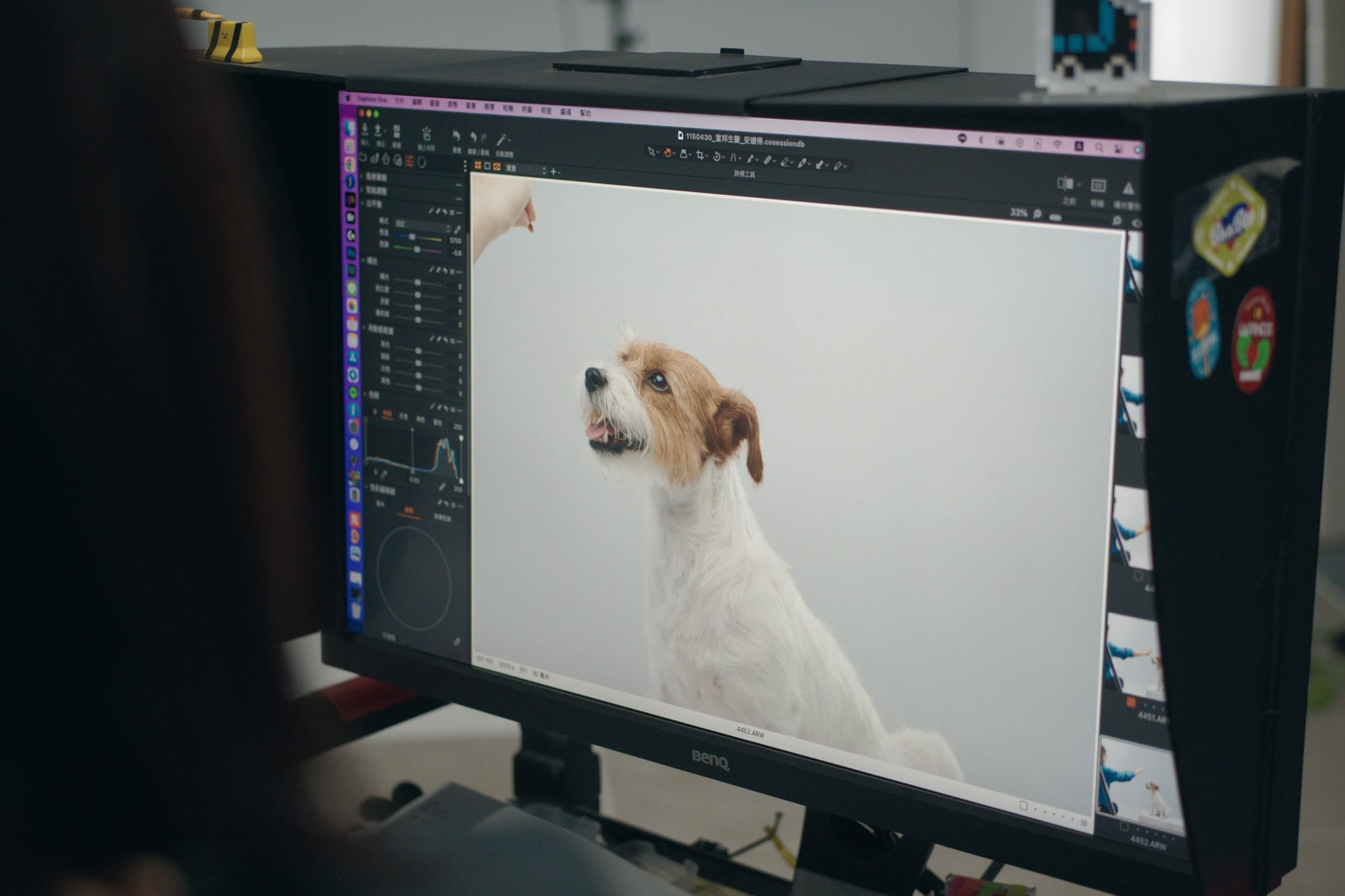 攝影師在電腦上編輯傑克羅素㹴犬元元的產品攝影照。