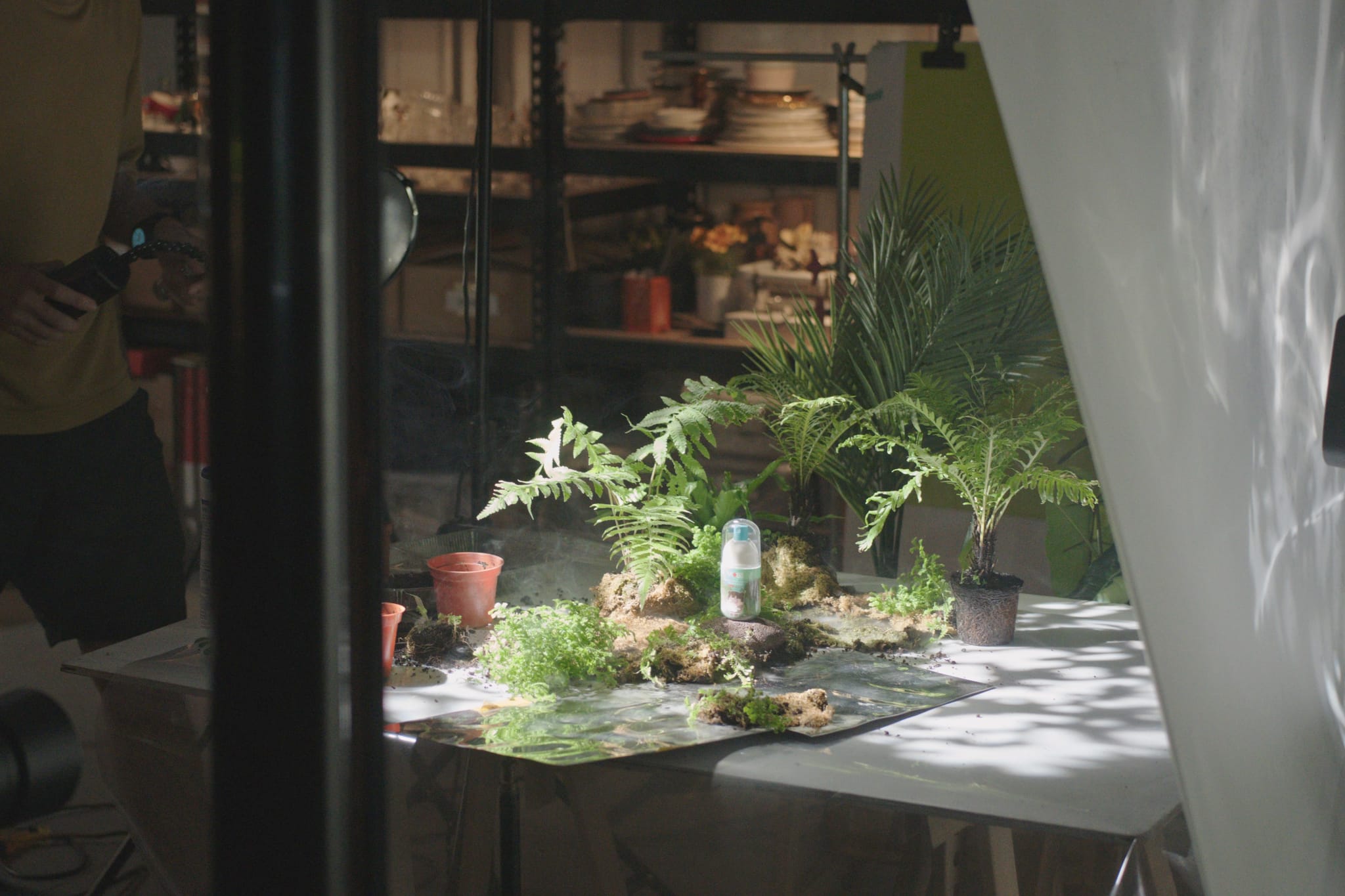 攝影棚內，工作人員利用真實植栽搭建微型森林場景拍攝產品。