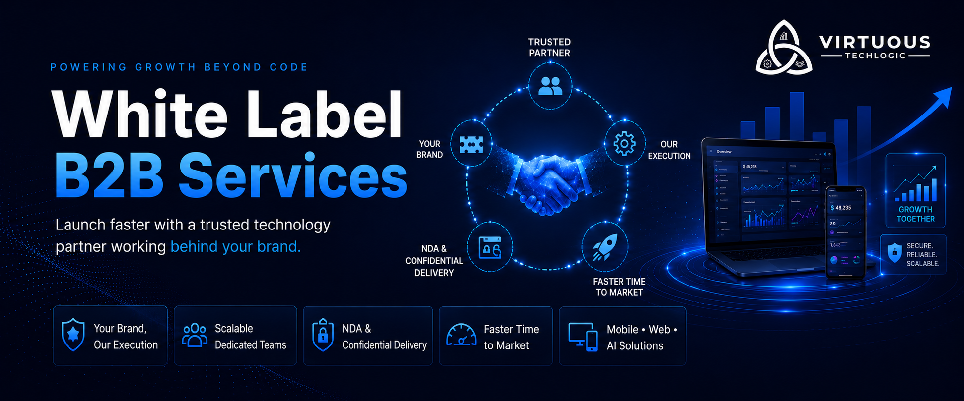 White Label & B2B infographic