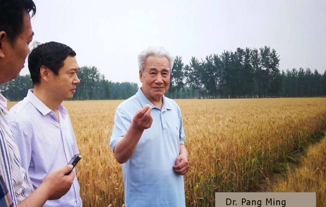 Dr. Pang Ming: Hunyuan Qi, la totalidad viva que s...