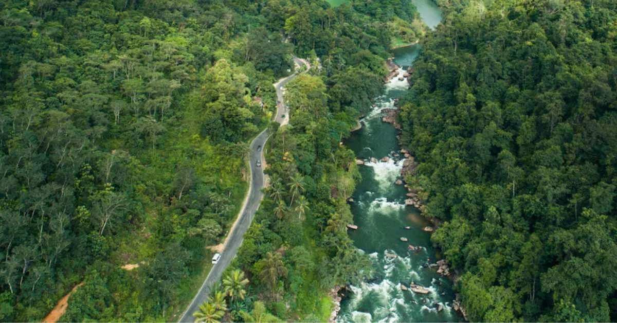 Kithulgala - Image 2