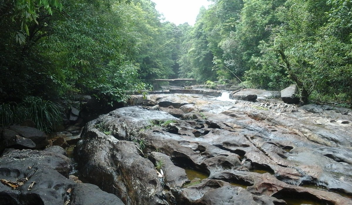 Kitulgala - Image 5