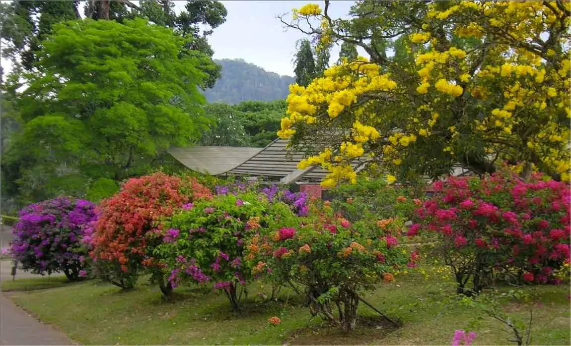 Royal Botanical Gardens - Image 3