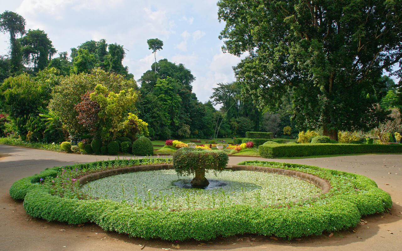Royal Botanical Gardens - Image 4