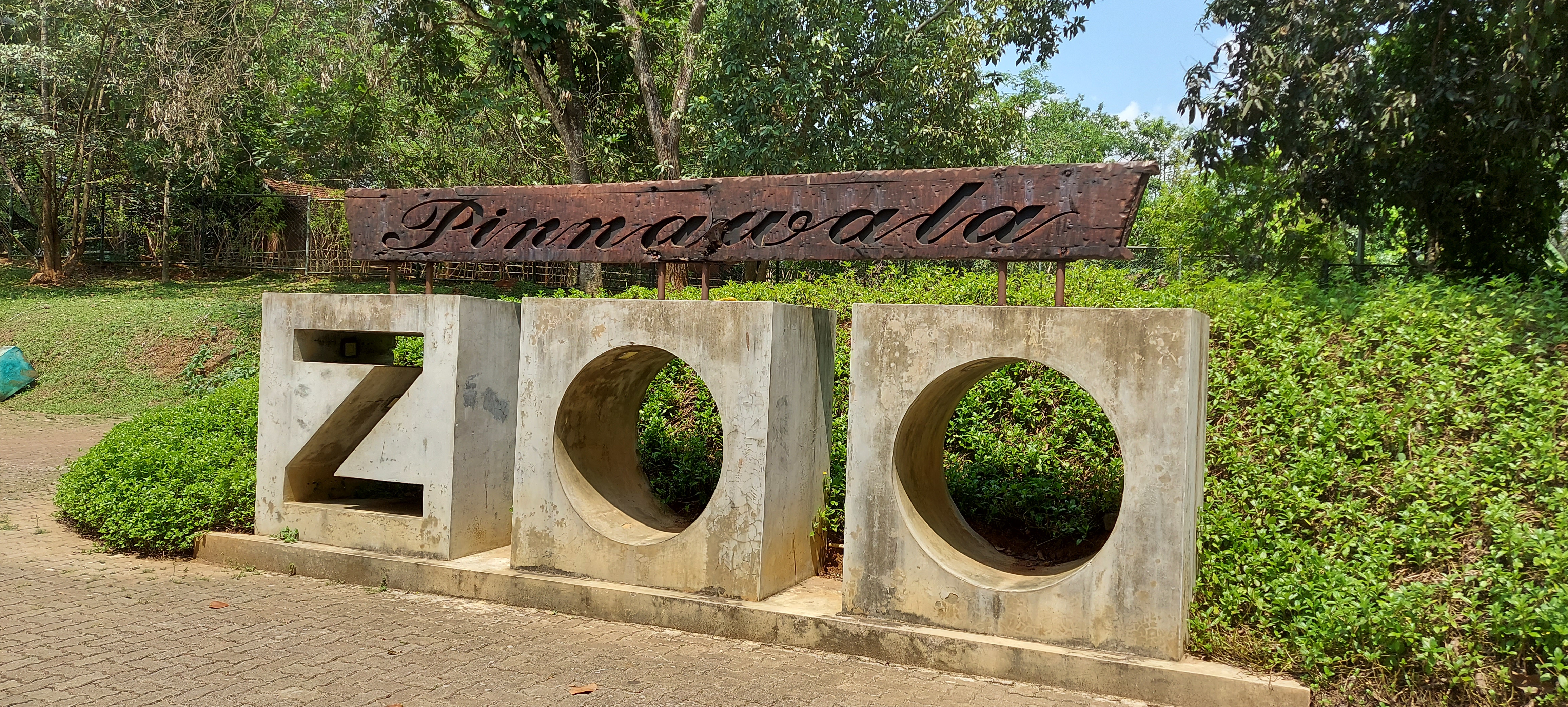 Pinnawala Elephant Orphanage - Image 2