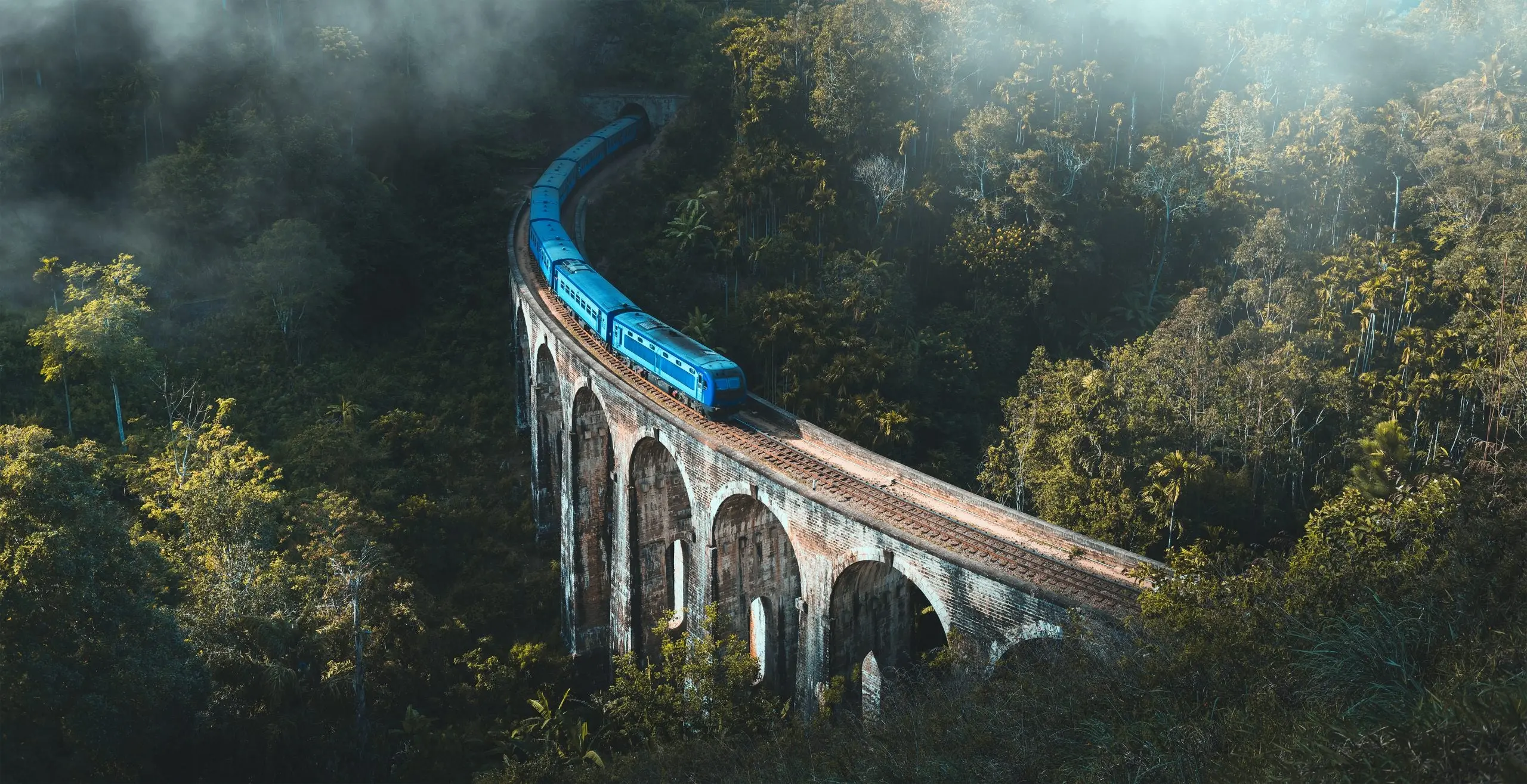 Ella - Image 4