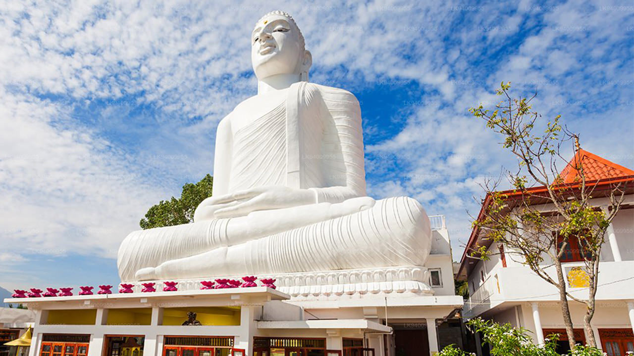 Bahirawakanda Big Buddha - Image 3