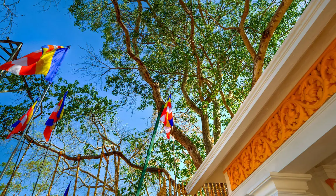 Anuradhapura - Image 2