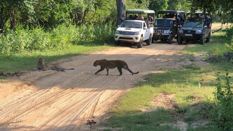Kumana National Park - Image 3