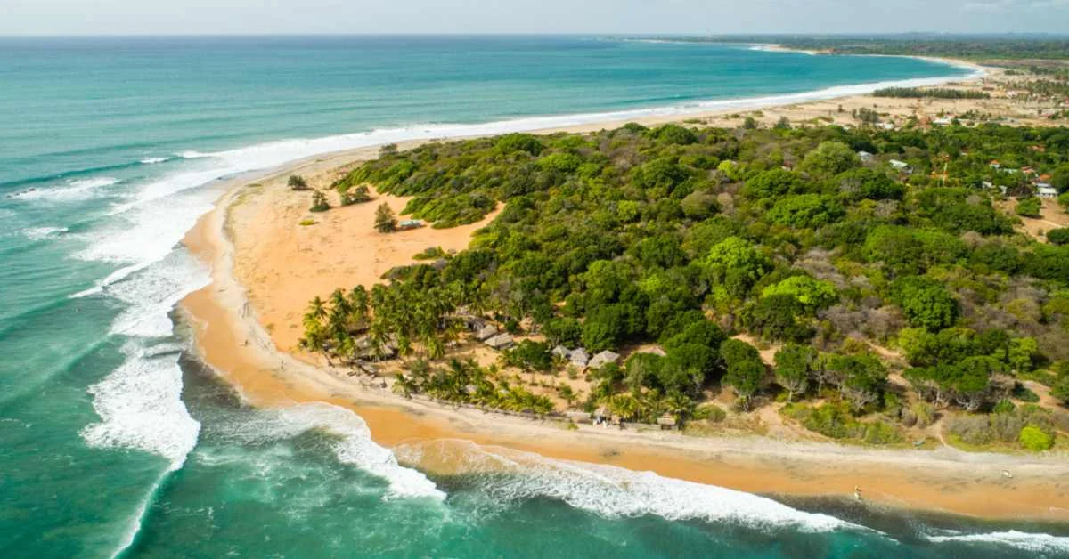 Arugam bay - Image 1