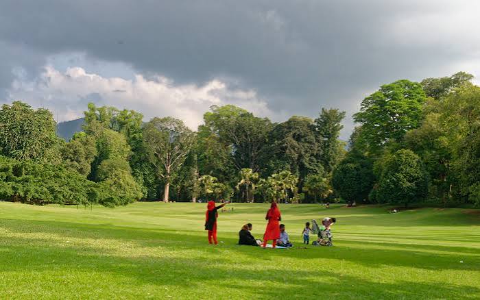Royal Botanical Gardens - Image 1