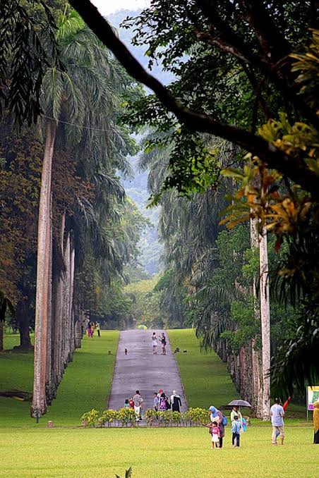 Royal Botanical Gardens - Image 2
