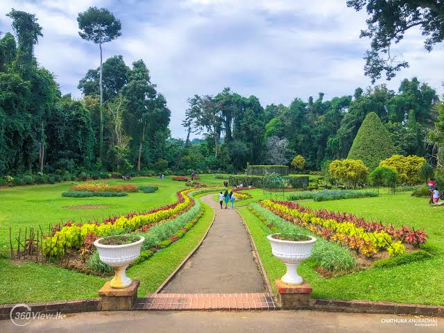 Royal Botanical Gardens - Image 3