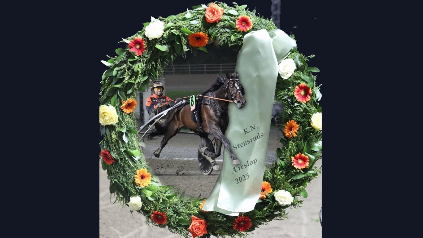 May be an image of horse